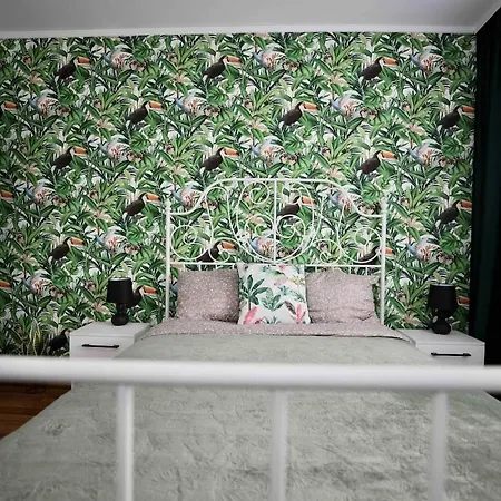 Jungle - Gara De Nord