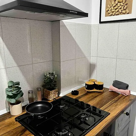 Jungle - Gara De Nord Bucarest