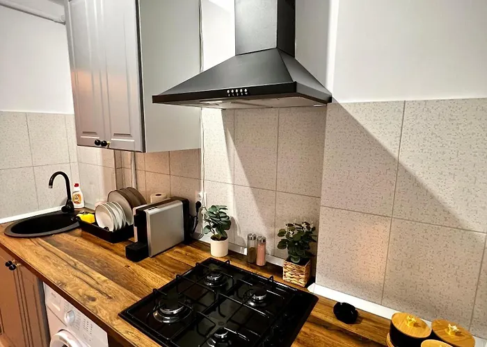 Apartament Jungle - Gara De Nord Bucureşti