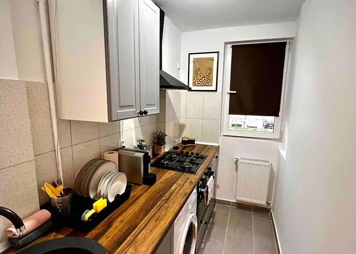 Jungle - Gara De Nord Bucureşti