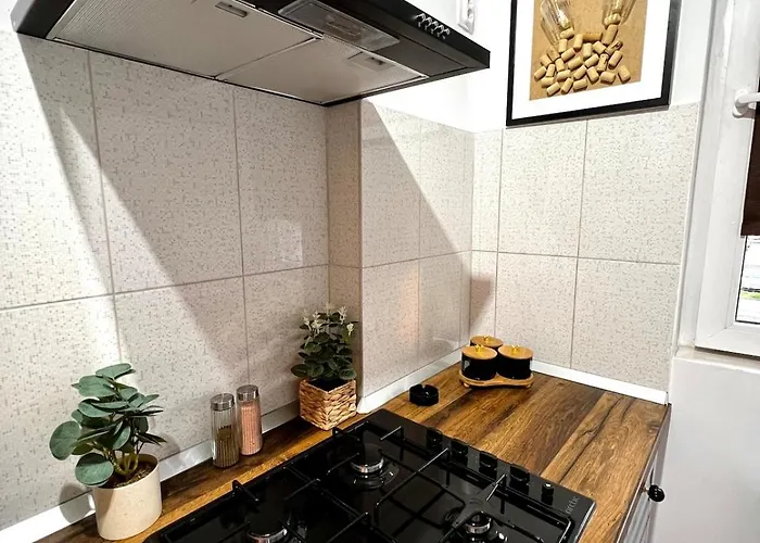 Apartament Jungle - Gara De Nord Bucureşti