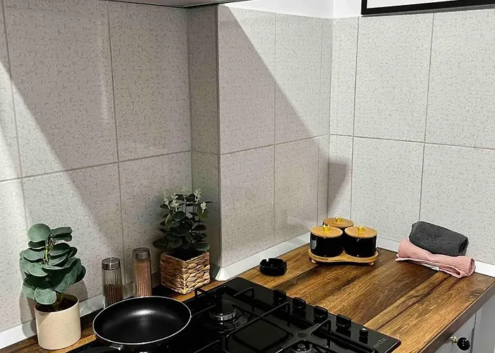 Jungle - Gara De Nord ブカレスト