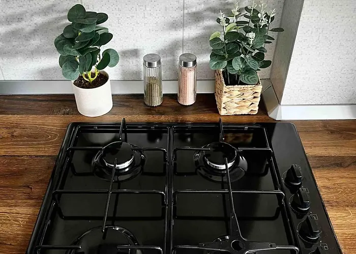 Jungle - Gara De Nord