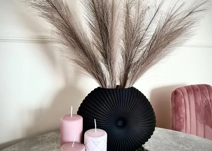 Jungle - Gara De Nord Apartament