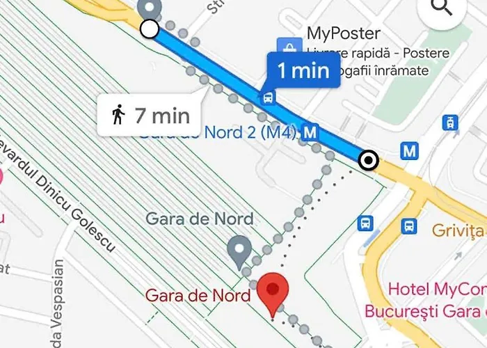 Jungle - Gara De Nord Bucarest